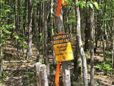 4 Tbd Big Cedar Oklahoma, Big Cedar, OK 74939 - photo 4