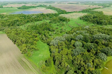 Deer, turkey and other wildlife.