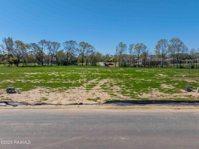 126 Castle Vine Way, Lafayette, LA 70508 - photo 4