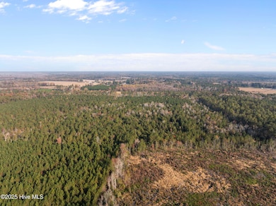 1449 Pameter Rd, Hallsboro, NC 28442 - photo 3