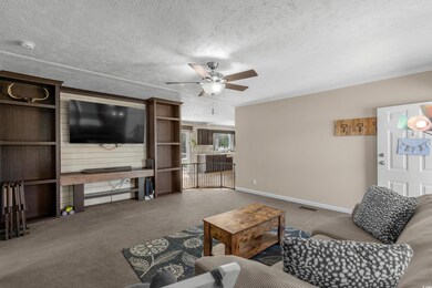 Carpeted living room with visible vents, a textured ceiling, baseboards, and ceiling fan