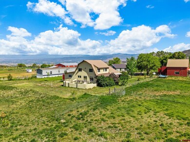 4874 Gateway Rd, Crawford, CO 81415 - photo 7