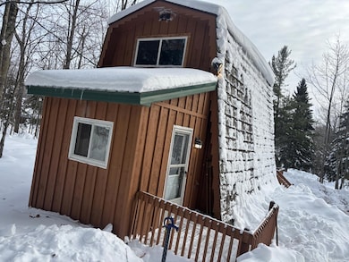 N10736 Cannonball Ct, Bessemer, MI 49911 - photo 6