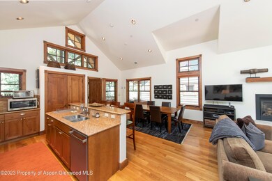 507 W Main St unit C201, Aspen, CO 81611 - photo 6