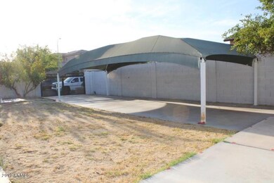 023-263328- Backyard