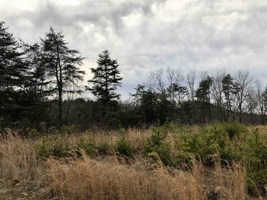 Lots 6, 7, 8 Bear Ridge unit Kodiak Drive, Milton, WV 25541 - photo 6