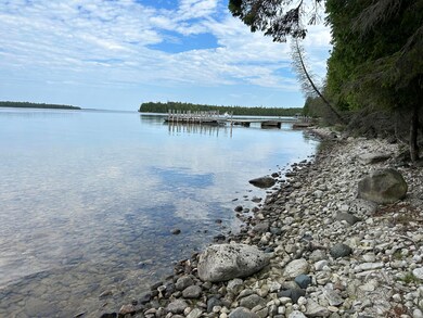 0 S Coryell Island unit 23-1152, Cedarville, MI 49719 - photo 4