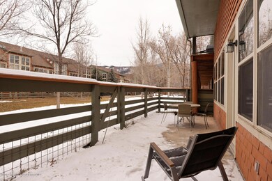 719 Evans Ct Basalt CO 81621-large-005-1
