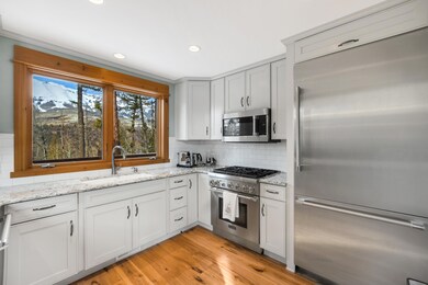 259 Adams Ranch Rd unit 40, Telluride, CO 81435 - photo 7