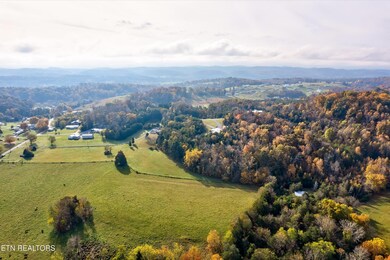 10-1960 Dumplin Loop Rd-10
