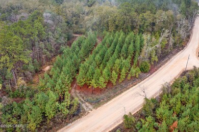 XXX White Rd unit 12.78 Acres, Chipley, FL 32428 - photo 3