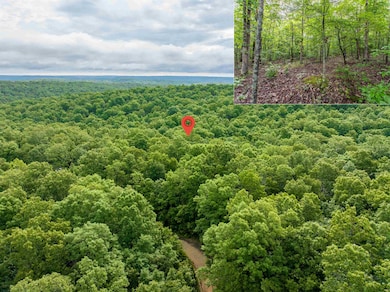 00 Red Fox Rd, Hardy, AR 72542 - photo 7