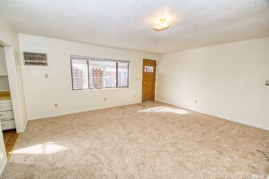 4300 Reno Hwy unit 1, Fallon, NV 89406 - photo 7