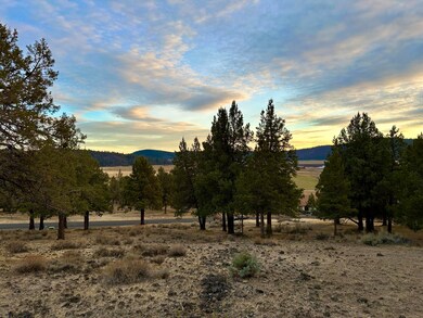 0 Murrelet unit Lot 1193 220174095, Klamath Falls, OR 97601 - photo 5