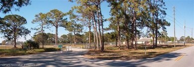 205 Blue Heaven Dr, Lake Placid, FL 33852 - photo 5