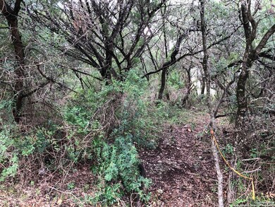 11227 Lago Vista, Helotes, TX 78023 - photo 2