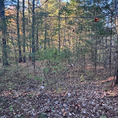 24-4,25-10 Chapman Ln, Kennebunk, ME 04043 - photo 4