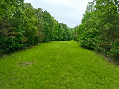 View of green lawn featuring a wooded view