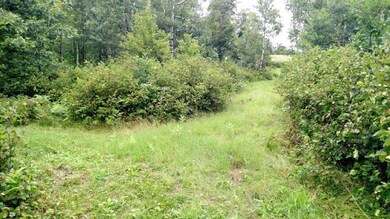 0 Hwy A unit 905098, Webster, WI 54893 - photo 6