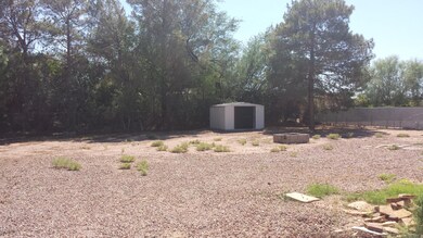 Large Back Yard w/Shed