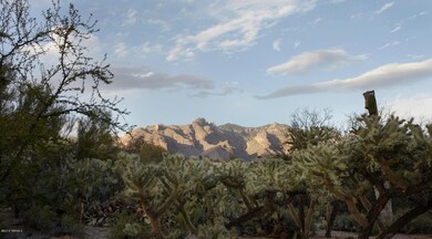Beautiful Mountain Views