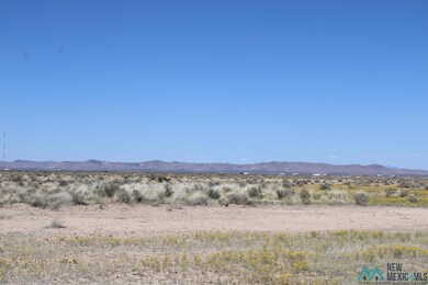 0 Piedras Rd SE unit 20231677, Deming, NM 88030 - photo 3