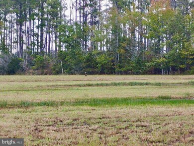 2839 Lakesville Crapo Rd, Church Creek, MD 21622 - photo 4