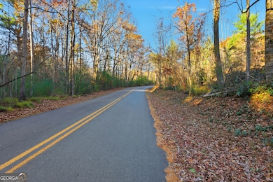 201 Spookhaven Ln, Clarkesville, GA 30523 - photo 4