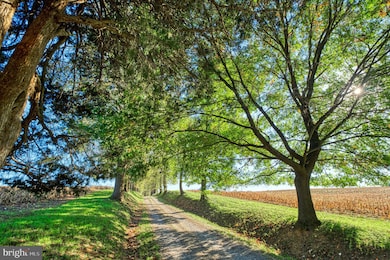 38678 Piggott Bottom Rd, Hamilton, VA 20158 - photo 7