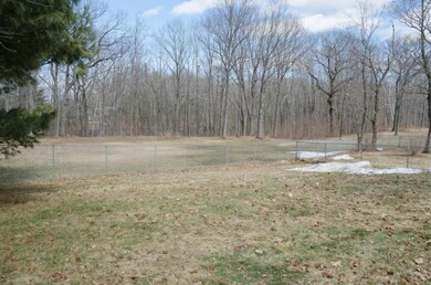 Fenced in backyard.