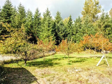 18200 Penn Ln SE, Yelm, WA 98597 - photo 6