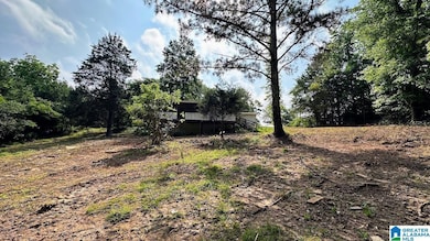 1565 County Road 61, Roanoke, AL 36274 - photo 7