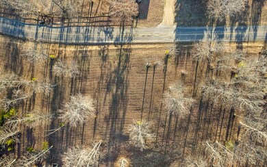 Lot Lg1 Lake George Dr, Dunlap, TN 37327 - photo 6