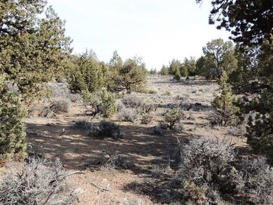 16291 SW Vaqueros Way, Powell Butte, OR 97753 - photo 4