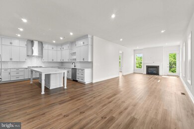 23564 Ellison Terrace, Brambleton, VA 20148 - photo 4