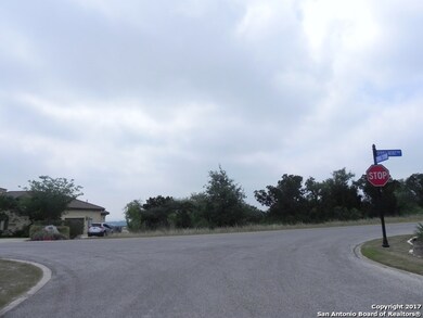 8518 Terra Mont Way, San Antonio, TX 78255 - photo 5