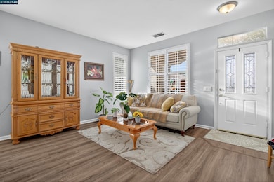 281 Black Amber Way, Brentwood, CA 94513 - photo 2