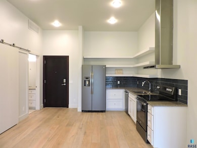 421 N Phillips Ave unit 406, Sioux Falls, SD 57104 - photo 6