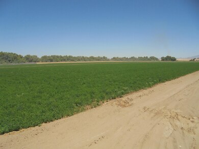 141 Water Toll Acres On 8th Ave, Blythe, CA 92225 - photo 6