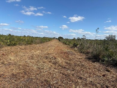 0 NW 316th St unit F10523825, Okeechobee, FL 34972 - photo 3