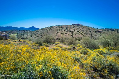 15609 E Palatial Lot 10