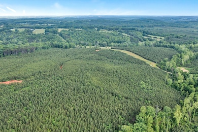 Tract B W Gretna Rd, Penhook, VA 24137 - photo 4