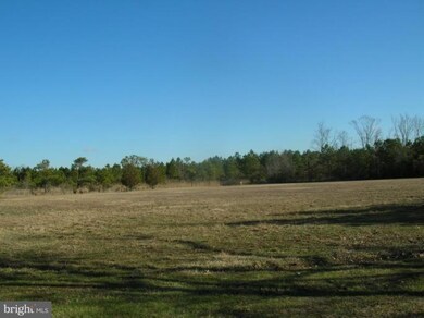 3041 Golden Hill Rd, Church Creek, MD 21622 - photo 7