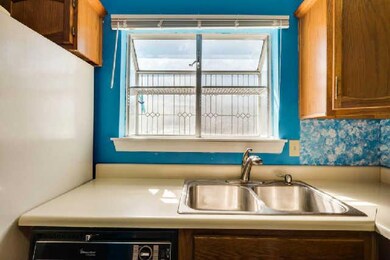 Double stainless sink with Garden Window