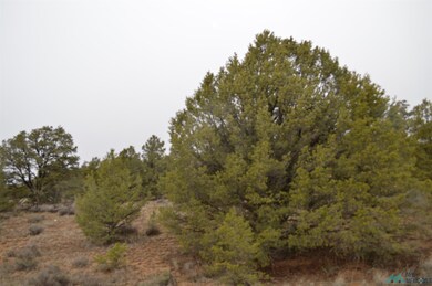 Lot 216 and 217 Old Well Rd, Candy Kitchen, NM 87321 - photo 7