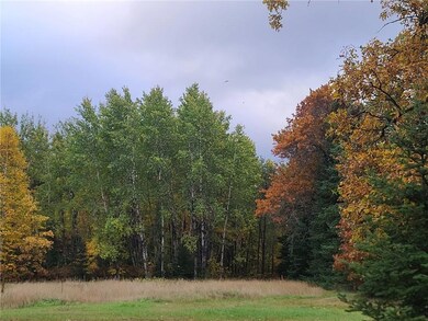 30109 Minerva Dam Rd, Danbury, WI 54830 - photo 5