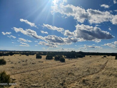 0 Cr 5074 unit 241410, Concho, AZ 85924 - photo 7