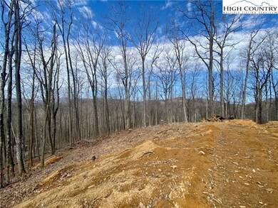 TBD Old Chestnut Mountain Rd, Newland, NC 28657 - photo 3