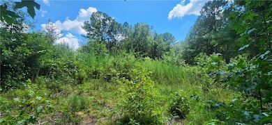 1318 Golden Way, Loganville, GA 30052 - photo 5