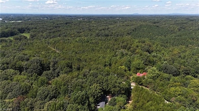 438 River Pines Trail, Clemmons, NC 27012 - photo 2